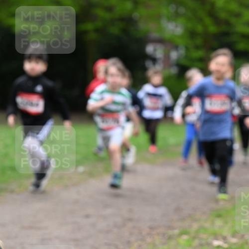 19.04.2026 - Hammer Lauf Dr. Thomas Lammeyer http://msf.ph/oto/9525830 19.04.2026 09:11:09 Laufen  meine-sportfotos.de