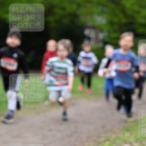 19.04.2026 - Hammer Lauf Dr. Thomas Lammeyer http://msf.ph/oto/9525835 19.04.2026 09:11:09 Laufen  meine-sportfotos.de