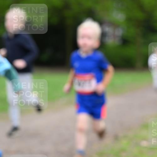 19.04.2026 - Hammer Lauf Dr. Thomas Lammeyer http://msf.ph/oto/9525938 19.04.2026 09:11:19 Laufen  meine-sportfotos.de