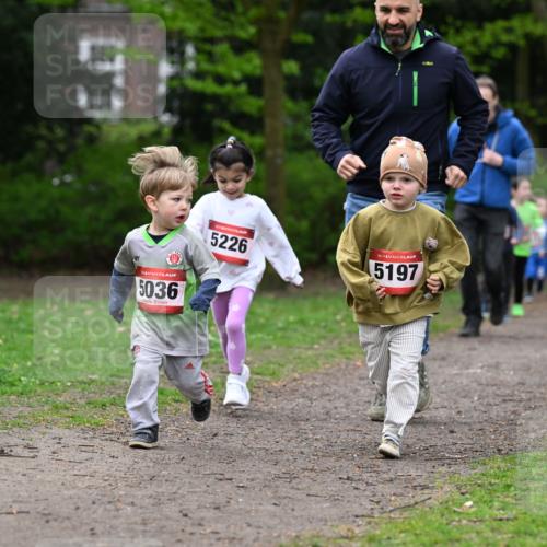19.04.2026 - Hammer Lauf Dr. Thomas Lammeyer http://msf.ph/oto/9525953 19.04.2026 09:11:21 Laufen 5036, 5226, 5197 meine-sportfotos.de