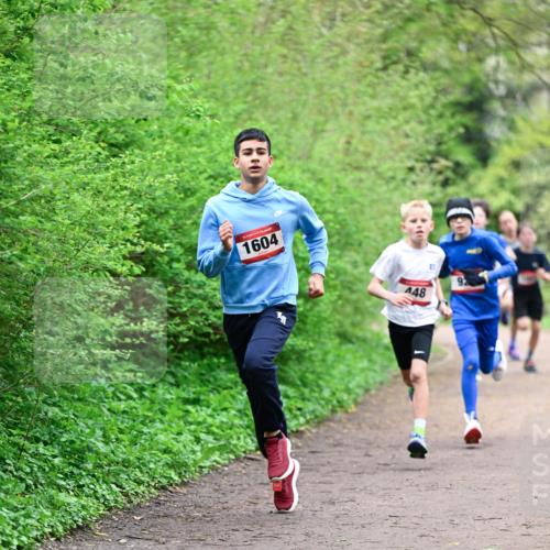 19.04.2026 - Hammer Lauf Dr. Thomas Lammeyer http://msf.ph/oto/9526606 19.04.2026 09:24:01 Laufen 1604, 448 meine-sportfotos.de