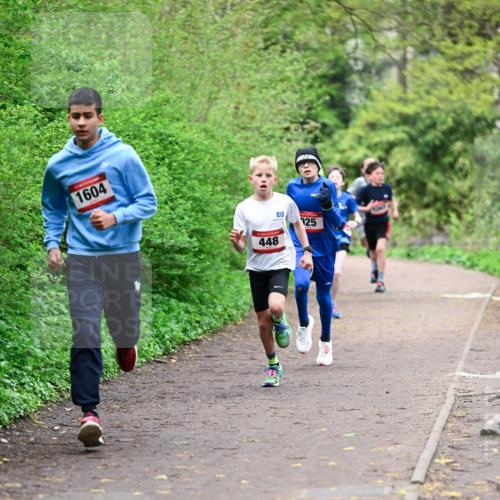 19.04.2026 - Hammer Lauf Dr. Thomas Lammeyer http://msf.ph/oto/9526613 19.04.2026 09:24:01 Laufen 1604, 448, 125 meine-sportfotos.de