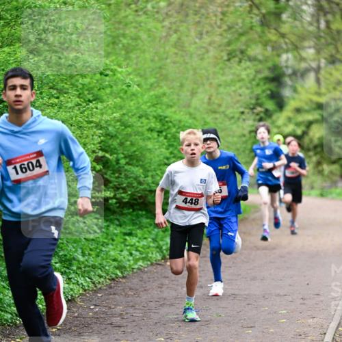 19.04.2026 - Hammer Lauf Dr. Thomas Lammeyer http://msf.ph/oto/9526618 19.04.2026 09:24:02 Laufen 1604, 448 meine-sportfotos.de