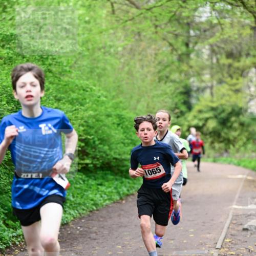 19.04.2026 - Hammer Lauf Dr. Thomas Lammeyer http://msf.ph/oto/9526658 19.04.2026 09:24:07 Laufen 1065 meine-sportfotos.de