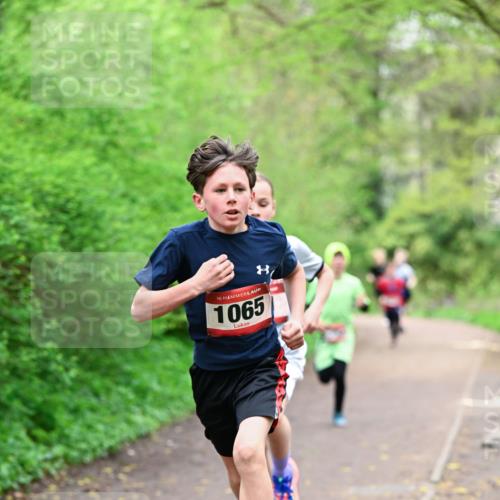 19.04.2026 - Hammer Lauf Dr. Thomas Lammeyer http://msf.ph/oto/9526671 19.04.2026 09:24:08 Laufen 1065 meine-sportfotos.de