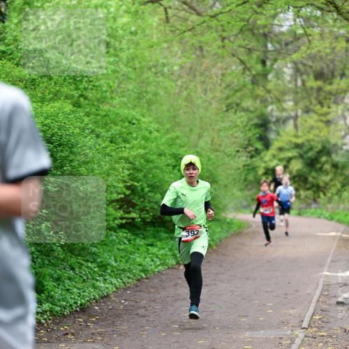 19.04.2026 - Hammer Lauf Dr. Thomas Lammeyer http://msf.ph/oto/9526673 19.04.2026 09:24:09 Laufen 393 meine-sportfotos.de