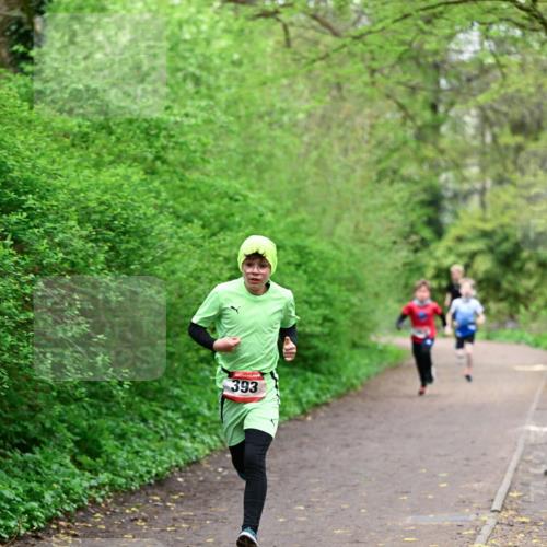 19.04.2026 - Hammer Lauf Dr. Thomas Lammeyer http://msf.ph/oto/9526682 19.04.2026 09:24:09 Laufen 393 meine-sportfotos.de