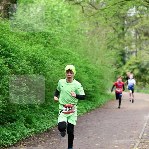 19.04.2026 - Hammer Lauf Dr. Thomas Lammeyer http://msf.ph/oto/9526685 19.04.2026 09:24:10 Laufen 393 meine-sportfotos.de