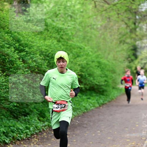 19.04.2026 - Hammer Lauf Dr. Thomas Lammeyer http://msf.ph/oto/9526689 19.04.2026 09:24:10 Laufen 393 meine-sportfotos.de