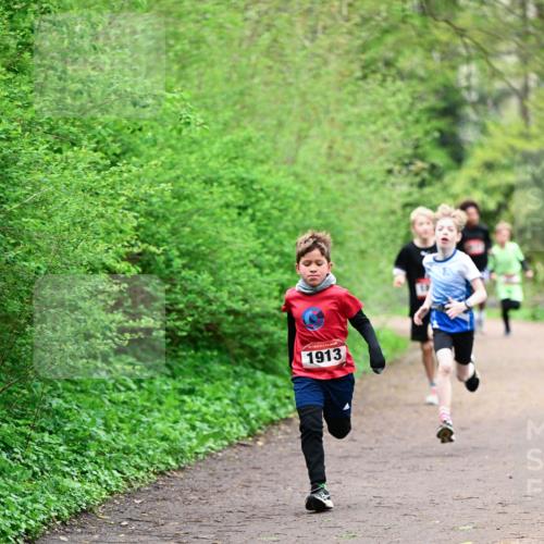 19.04.2026 - Hammer Lauf Dr. Thomas Lammeyer http://msf.ph/oto/9526693 19.04.2026 09:24:12 Laufen 1913 meine-sportfotos.de