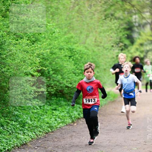 19.04.2026 - Hammer Lauf Dr. Thomas Lammeyer http://msf.ph/oto/9526699 19.04.2026 09:24:12 Laufen 1913 meine-sportfotos.de