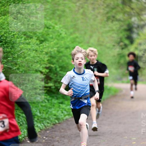 19.04.2026 - Hammer Lauf Dr. Thomas Lammeyer http://msf.ph/oto/9526715 19.04.2026 09:24:14 Laufen  meine-sportfotos.de