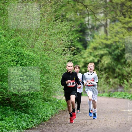 19.04.2026 - Hammer Lauf Dr. Thomas Lammeyer http://msf.ph/oto/9526766 19.04.2026 09:24:25 Laufen 1519 meine-sportfotos.de