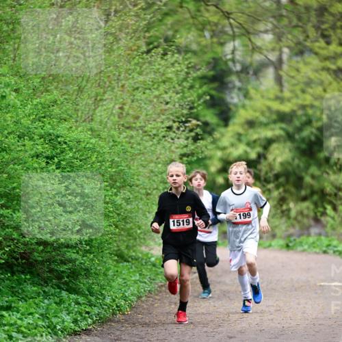 19.04.2026 - Hammer Lauf Dr. Thomas Lammeyer http://msf.ph/oto/9526770 19.04.2026 09:24:25 Laufen 1519, 199 meine-sportfotos.de