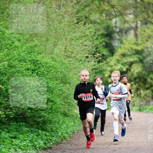 19.04.2026 - Hammer Lauf Dr. Thomas Lammeyer http://msf.ph/oto/9526776 19.04.2026 09:24:25 Laufen 1519 meine-sportfotos.de