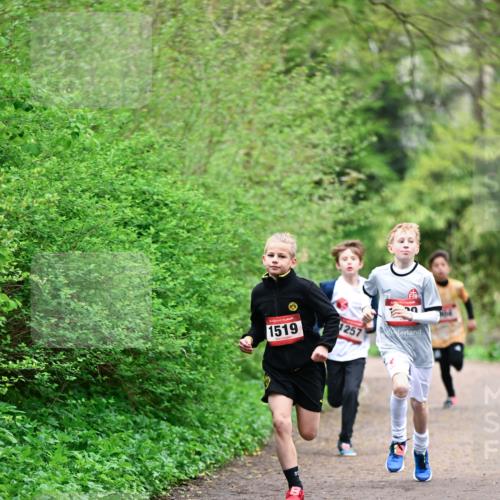19.04.2026 - Hammer Lauf Dr. Thomas Lammeyer http://msf.ph/oto/9526781 19.04.2026 09:24:26 Laufen 1519, 1257 meine-sportfotos.de