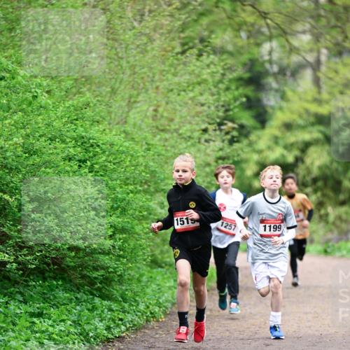 19.04.2026 - Hammer Lauf Dr. Thomas Lammeyer http://msf.ph/oto/9526783 19.04.2026 09:24:26 Laufen 1519, 1257, 1199 meine-sportfotos.de
