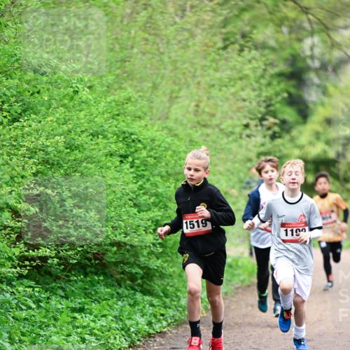 19.04.2026 - Hammer Lauf Dr. Thomas Lammeyer http://msf.ph/oto/9526788 19.04.2026 09:24:27 Laufen 1519, 1199, 343 meine-sportfotos.de