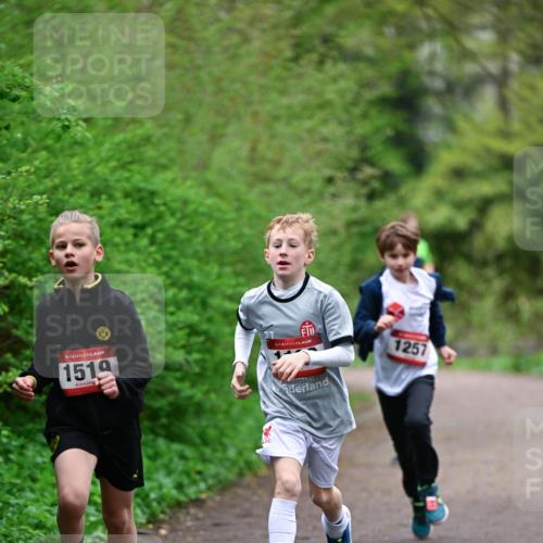 19.04.2026 - Hammer Lauf Dr. Thomas Lammeyer http://msf.ph/oto/9526797 19.04.2026 09:24:28 Laufen 1519, 1257 meine-sportfotos.de