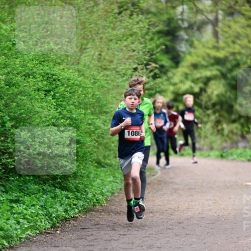 19.04.2026 - Hammer Lauf Dr. Thomas Lammeyer http://msf.ph/oto/9526827 19.04.2026 09:24:33 Laufen 1086 meine-sportfotos.de