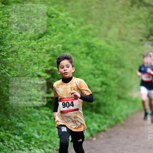 19.04.2026 - Hammer Lauf Dr. Thomas Lammeyer http://msf.ph/oto/9526830 19.04.2026 09:24:32 Laufen 904 meine-sportfotos.de