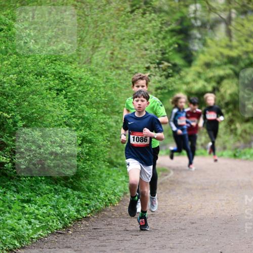 19.04.2026 - Hammer Lauf Dr. Thomas Lammeyer http://msf.ph/oto/9526833 19.04.2026 09:24:33 Laufen 1086 meine-sportfotos.de