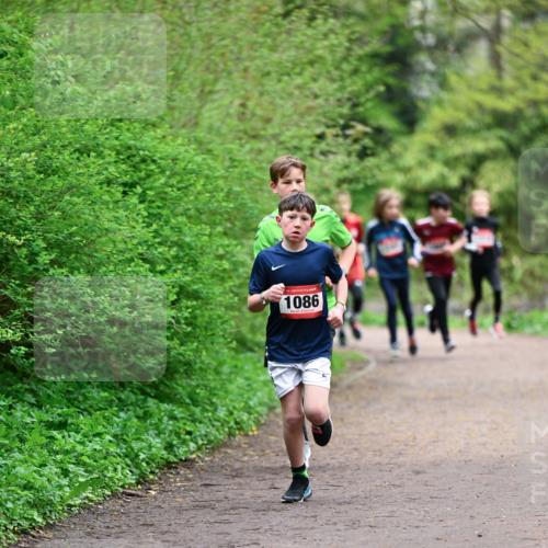 19.04.2026 - Hammer Lauf Dr. Thomas Lammeyer http://msf.ph/oto/9526836 19.04.2026 09:24:34 Laufen 1086 meine-sportfotos.de