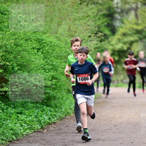 19.04.2026 - Hammer Lauf Dr. Thomas Lammeyer http://msf.ph/oto/9526838 19.04.2026 09:24:34 Laufen 1086 meine-sportfotos.de