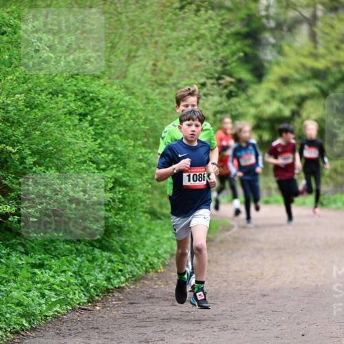 19.04.2026 - Hammer Lauf Dr. Thomas Lammeyer http://msf.ph/oto/9526841 19.04.2026 09:24:34 Laufen 1086 meine-sportfotos.de