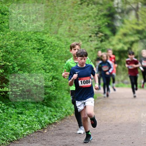 19.04.2026 - Hammer Lauf Dr. Thomas Lammeyer http://msf.ph/oto/9526843 19.04.2026 09:24:34 Laufen 1086 meine-sportfotos.de