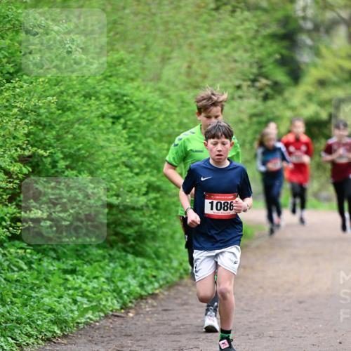 19.04.2026 - Hammer Lauf Dr. Thomas Lammeyer http://msf.ph/oto/9526848 19.04.2026 09:24:34 Laufen 1086 meine-sportfotos.de