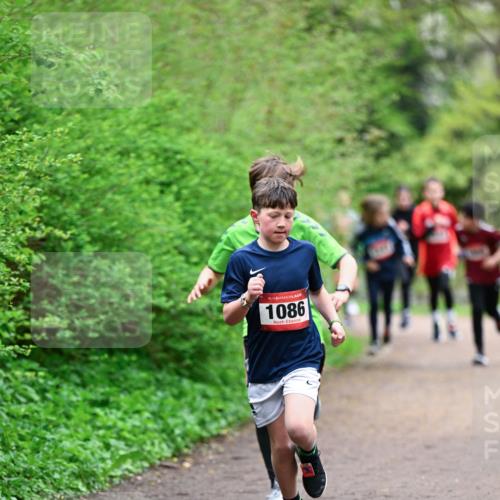 19.04.2026 - Hammer Lauf Dr. Thomas Lammeyer http://msf.ph/oto/9526849 19.04.2026 09:24:35 Laufen 1086 meine-sportfotos.de