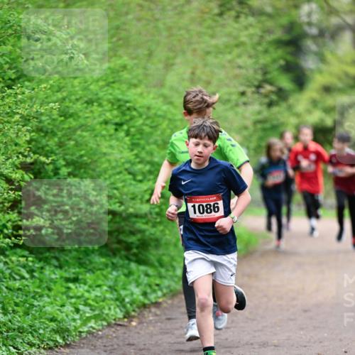 19.04.2026 - Hammer Lauf Dr. Thomas Lammeyer http://msf.ph/oto/9526851 19.04.2026 09:24:35 Laufen 1086 meine-sportfotos.de