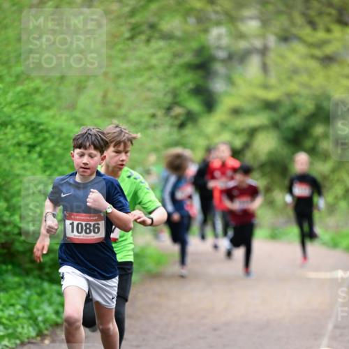 19.04.2026 - Hammer Lauf Dr. Thomas Lammeyer http://msf.ph/oto/9526855 19.04.2026 09:24:35 Laufen 1086 meine-sportfotos.de