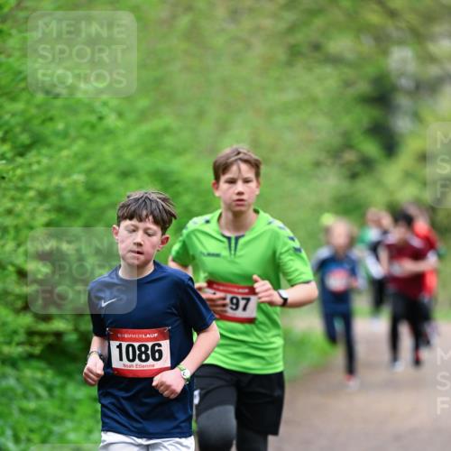 19.04.2026 - Hammer Lauf Dr. Thomas Lammeyer http://msf.ph/oto/9526860 19.04.2026 09:24:36 Laufen 1086 meine-sportfotos.de