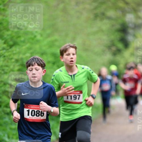 19.04.2026 - Hammer Lauf Dr. Thomas Lammeyer http://msf.ph/oto/9526861 19.04.2026 09:24:36 Laufen 1086, 1197 meine-sportfotos.de
