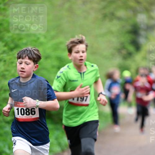 19.04.2026 - Hammer Lauf Dr. Thomas Lammeyer http://msf.ph/oto/9526863 19.04.2026 09:24:37 Laufen 1086, 797 meine-sportfotos.de