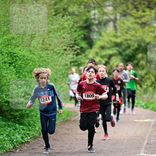 19.04.2026 - Hammer Lauf Dr. Thomas Lammeyer http://msf.ph/oto/9526879 19.04.2026 09:24:38 Laufen 1241, 1809 meine-sportfotos.de