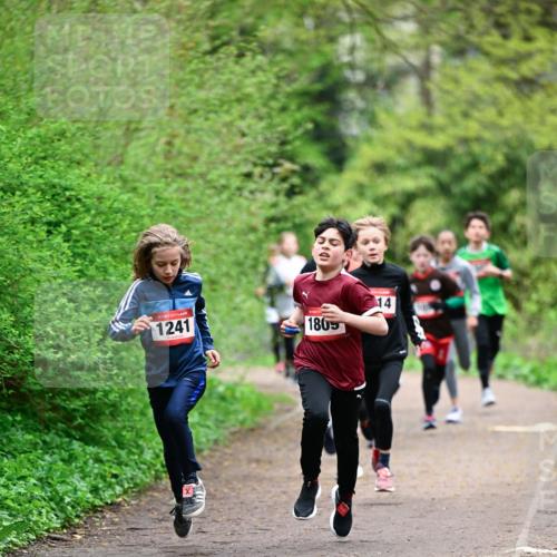19.04.2026 - Hammer Lauf Dr. Thomas Lammeyer http://msf.ph/oto/9526880 19.04.2026 09:24:39 Laufen 1241, 1805 meine-sportfotos.de