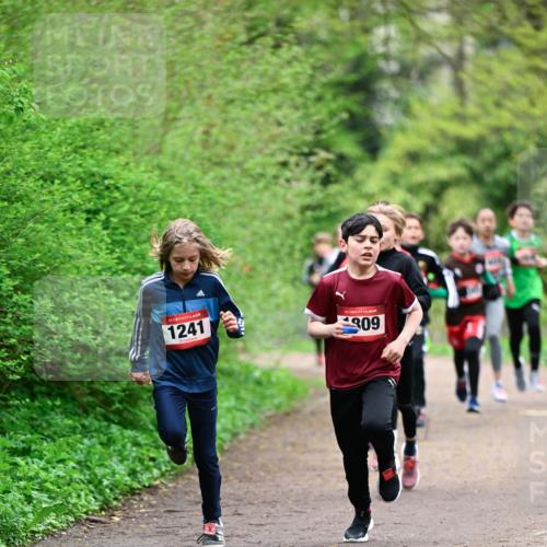 19.04.2026 - Hammer Lauf Dr. Thomas Lammeyer http://msf.ph/oto/9526883 19.04.2026 09:24:39 Laufen 1241, 309 meine-sportfotos.de