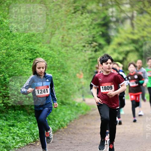 19.04.2026 - Hammer Lauf Dr. Thomas Lammeyer http://msf.ph/oto/9526887 19.04.2026 09:24:39 Laufen 1241, 1809 meine-sportfotos.de