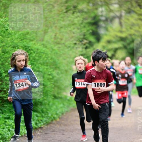 19.04.2026 - Hammer Lauf Dr. Thomas Lammeyer http://msf.ph/oto/9526891 19.04.2026 09:24:40 Laufen 1241, 1314, 1809 meine-sportfotos.de