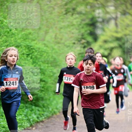 19.04.2026 - Hammer Lauf Dr. Thomas Lammeyer http://msf.ph/oto/9526894 19.04.2026 09:24:40 Laufen 1241, 131, 1809 meine-sportfotos.de