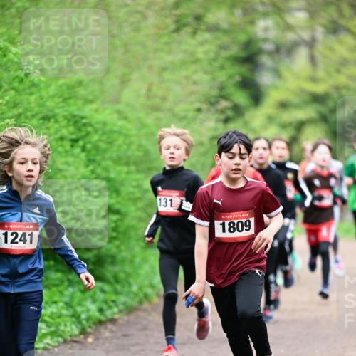 19.04.2026 - Hammer Lauf Dr. Thomas Lammeyer http://msf.ph/oto/9526896 19.04.2026 09:24:40 Laufen 1241, 131, 1809 meine-sportfotos.de