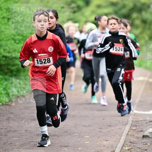 19.04.2026 - Hammer Lauf Dr. Thomas Lammeyer http://msf.ph/oto/9526903 19.04.2026 09:24:42 Laufen 1528, 524 meine-sportfotos.de