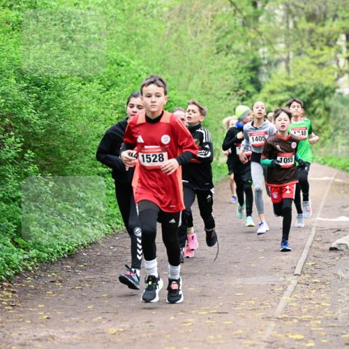 19.04.2026 - Hammer Lauf Dr. Thomas Lammeyer http://msf.ph/oto/9526910 19.04.2026 09:24:43 Laufen 1528, 1405, 1055, 1248 meine-sportfotos.de