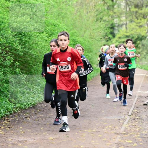 19.04.2026 - Hammer Lauf Dr. Thomas Lammeyer http://msf.ph/oto/9526912 19.04.2026 09:24:44 Laufen 1528, 140, 1055, 1348 meine-sportfotos.de