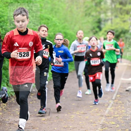 19.04.2026 - Hammer Lauf Dr. Thomas Lammeyer http://msf.ph/oto/9526921 19.04.2026 09:24:45 Laufen 1440, 528, 4015, 1055 meine-sportfotos.de