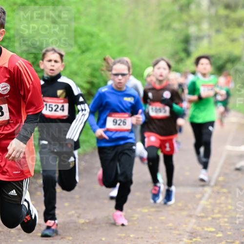 19.04.2026 - Hammer Lauf Dr. Thomas Lammeyer http://msf.ph/oto/9526925 19.04.2026 09:24:45 Laufen 1528, 1524, 1055, 926 meine-sportfotos.de