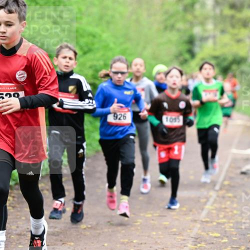 19.04.2026 - Hammer Lauf Dr. Thomas Lammeyer http://msf.ph/oto/9526927 19.04.2026 09:24:45 Laufen 1529, 926, 1015 meine-sportfotos.de